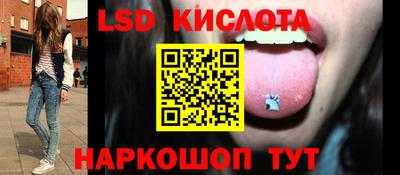 прущие грибы Дубна