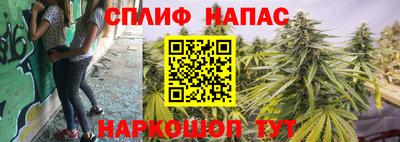 мдпв Донской