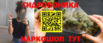 прущие грибы Дубна