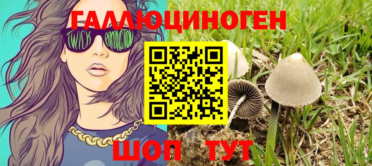 Галлюциногенные грибы Magic Shrooms Майский